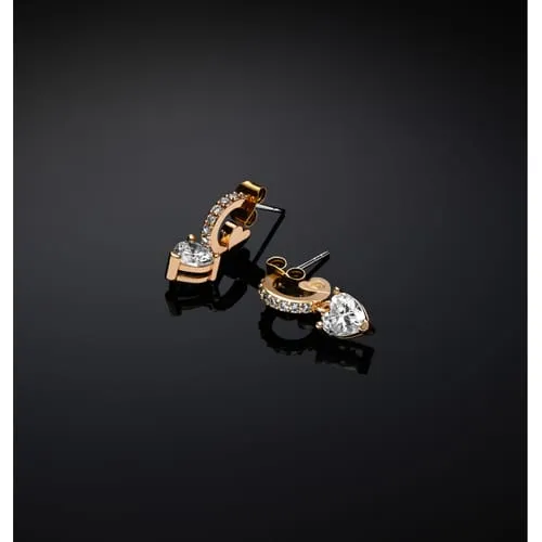 Chiara Ferragni Brand First Love Earrings - J19AWJ08