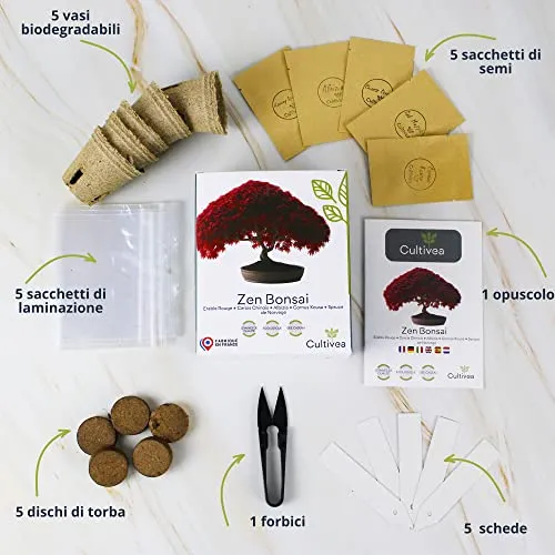 Cultivea Mini - Bonsai Ready-to-Grow Kit - Semi francesi 100% ecologici - Giardino e decorazione - Idea regalo (Mela rossa, Cerc
